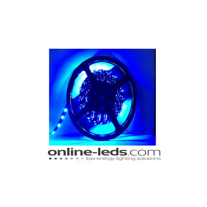 12V Led Blue Led Strip Lights 5M SMD 3528  NW