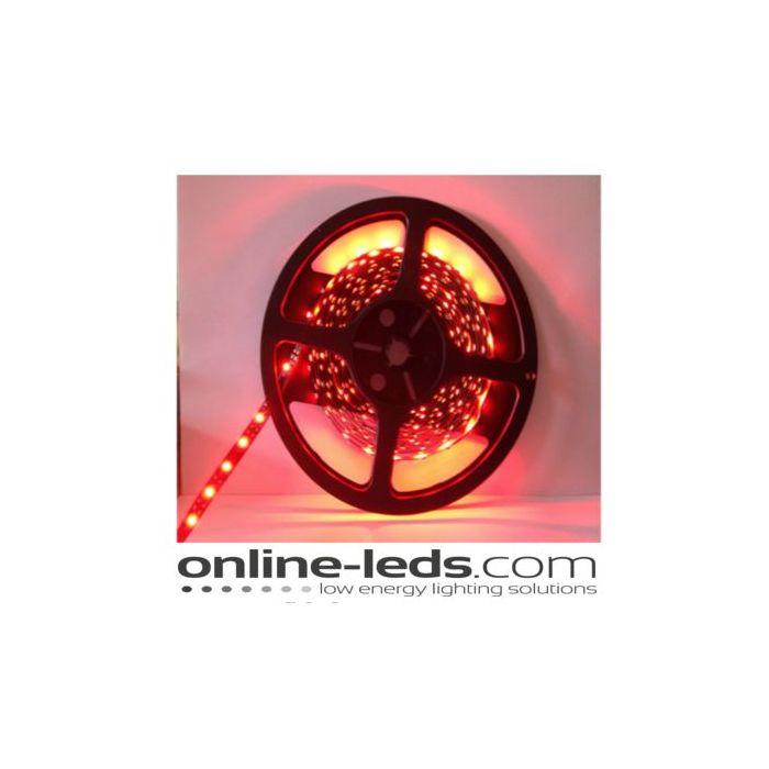 12V Led Red Led Strip Lights 5M SMD 3528 NW