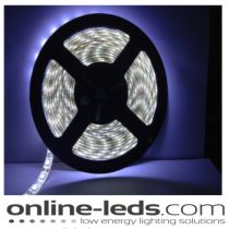 12V Led Cool White Led Strip Lights 5M SMD 5050