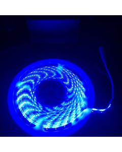 12V Battery Operated 5000mm Waterproof Led Strip Blue SMD3528